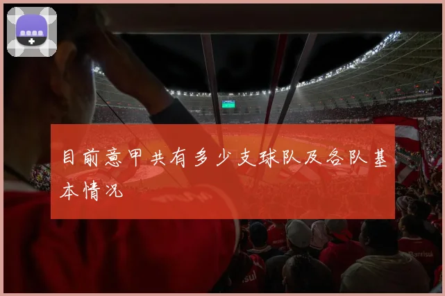 目前意甲共有多少支球队及各队基本情况