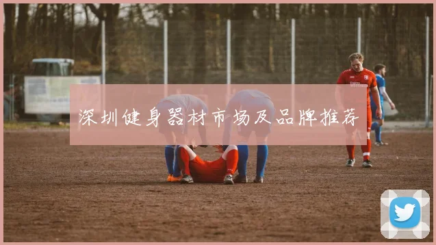 深圳健身器材市场及品牌推荐