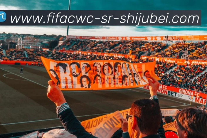 世界杯直播平台生态图